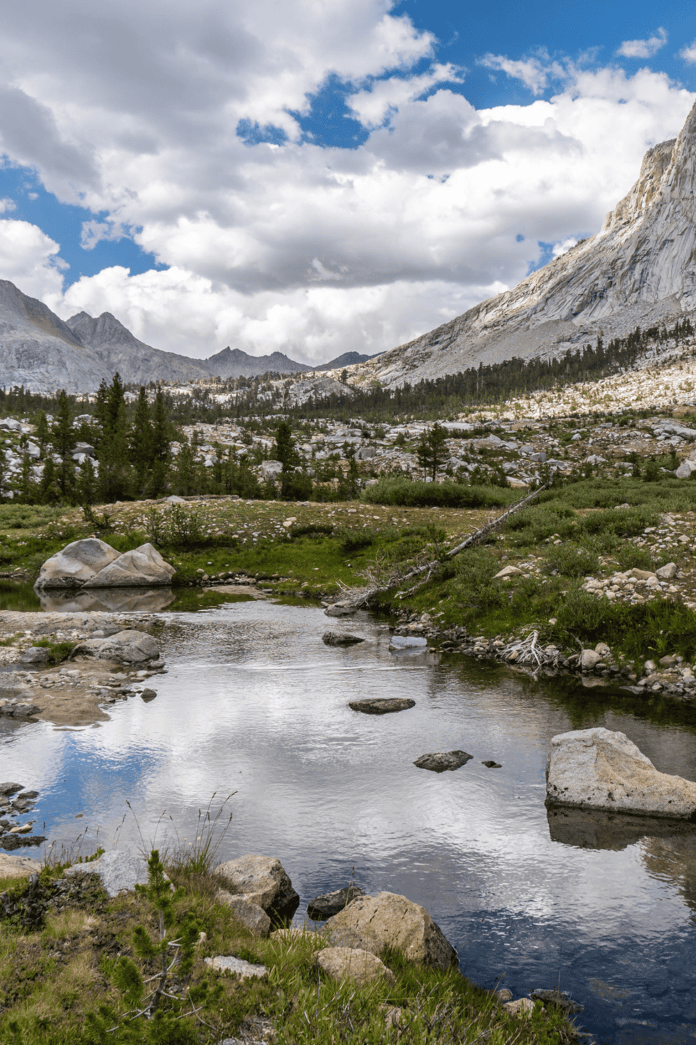 Tranquil mountain river scene in Yosemite National Park, showcasing natural beauty and scenic landscapes.