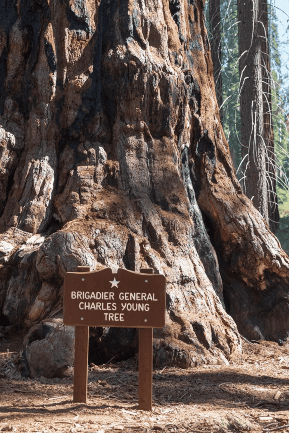 Ancient Sequoia tree at Sequoia National Park, iconic giant redwood for nature lovers.