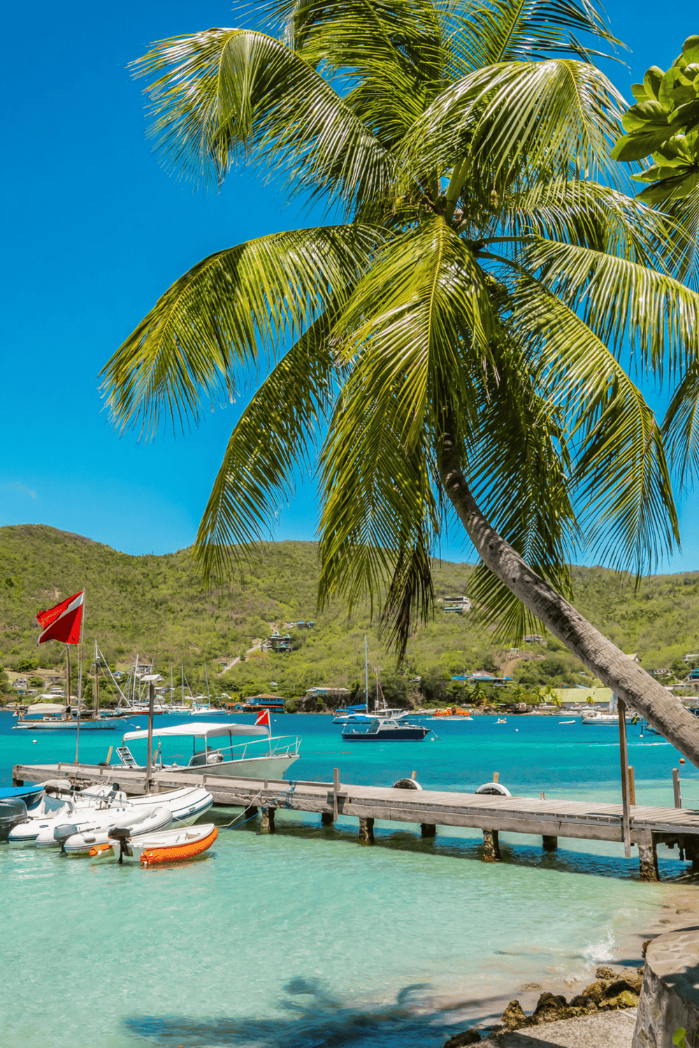 Lush tropical palm tree over marina with boats, turquoise water, and green hills in the background.
