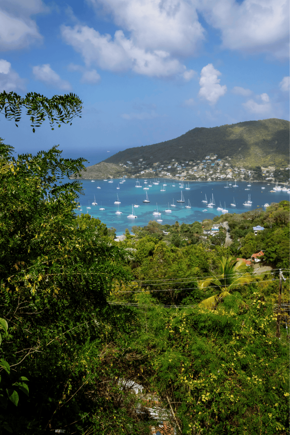 Vibrant tropical bay with sailboats, lush greenery, and hillside village, perfect for dream island vacations.