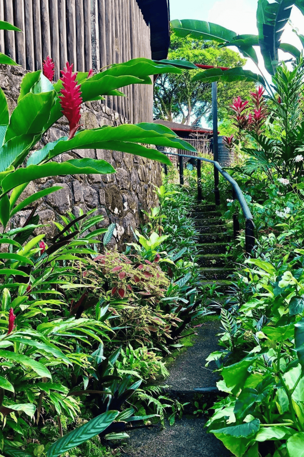 Lush tropical garden with stone pathway and staircase surrounded by vibrant green plants and colorful flowers.