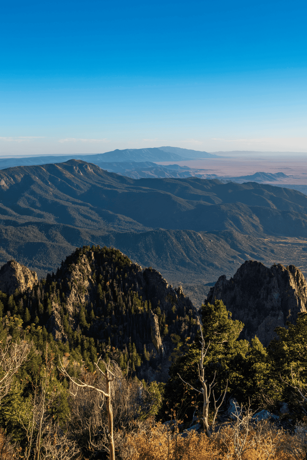 Breathtaking mountain landscape with dense forests and rugged peaks during daytime.