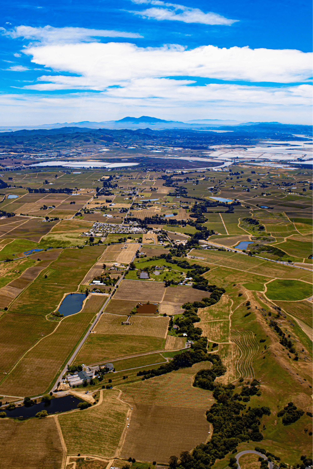Vineyard landscape with rolling hills and farmland, ideal for scenic vineyards and rural tourism.