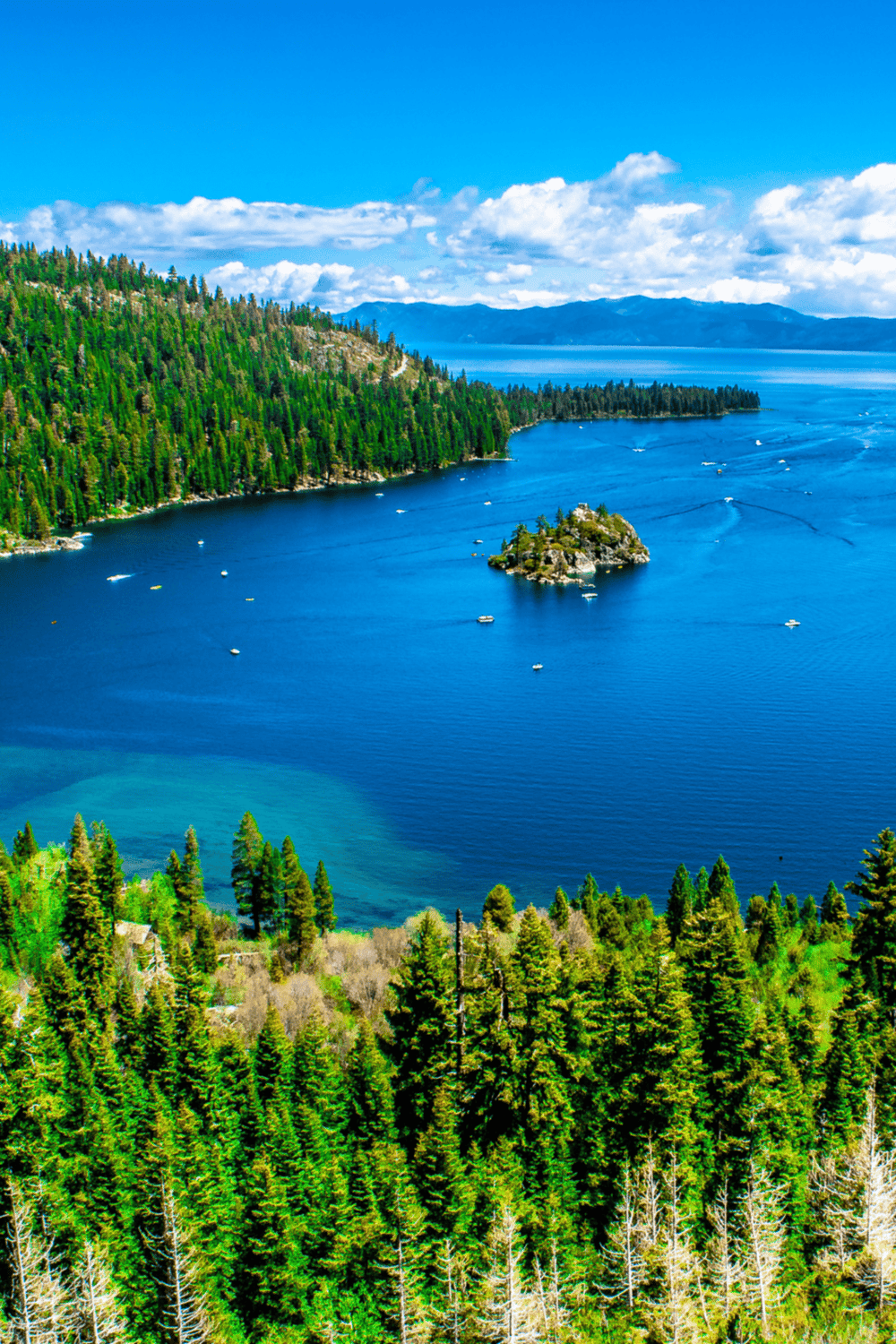 Vivid aerial view of Lake Tahoe with lush pine forests and clear blue water, highlighting outdoor recreation and scenic beauty.