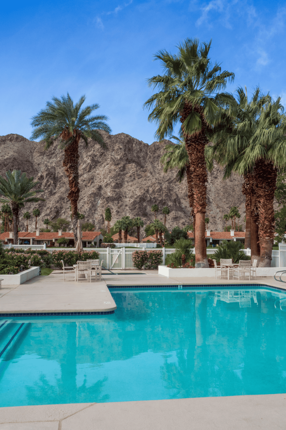 Palm trees near pool with mountain backdrop, desert oasis style.