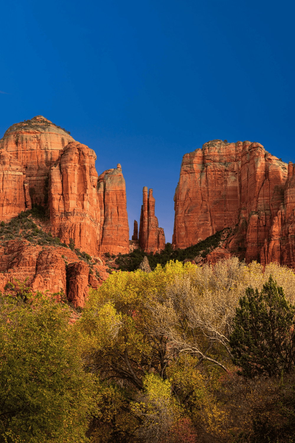 Vibrant red rock formations in Sedona, Arizona, under a clear blue sky with colorful autumn foliage in the foreground.