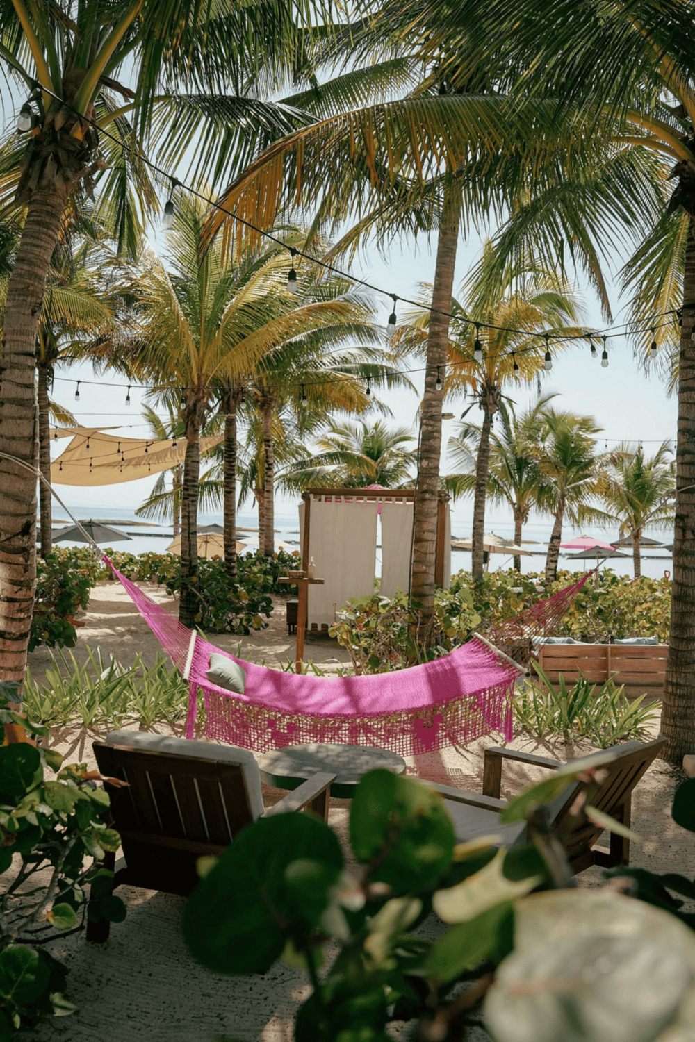 Relaxing beach hammock under palm trees with ocean view at QuestForDirections.