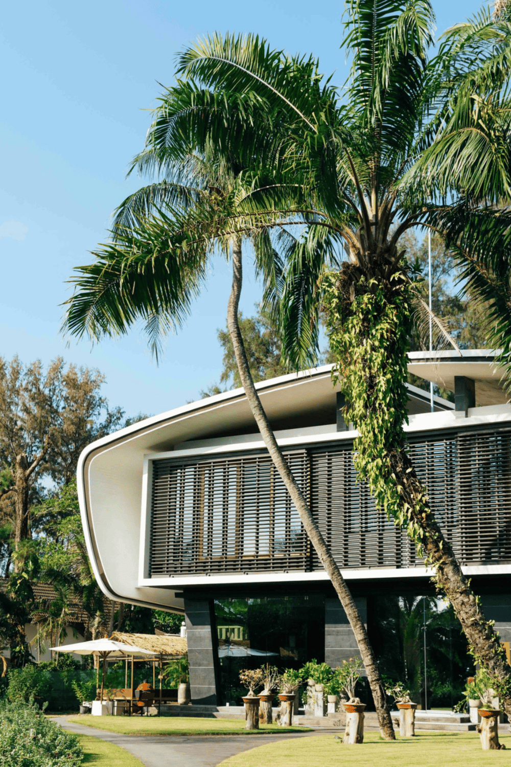 Modern tropical house with lush greenery and palm trees.