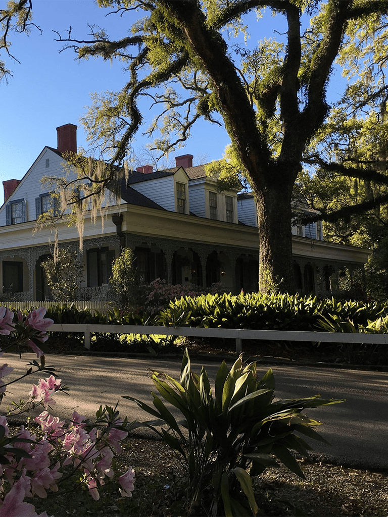 Vintage Southern mansion surrounded by lush greenery and towering oak trees, offering charming historic architecture.