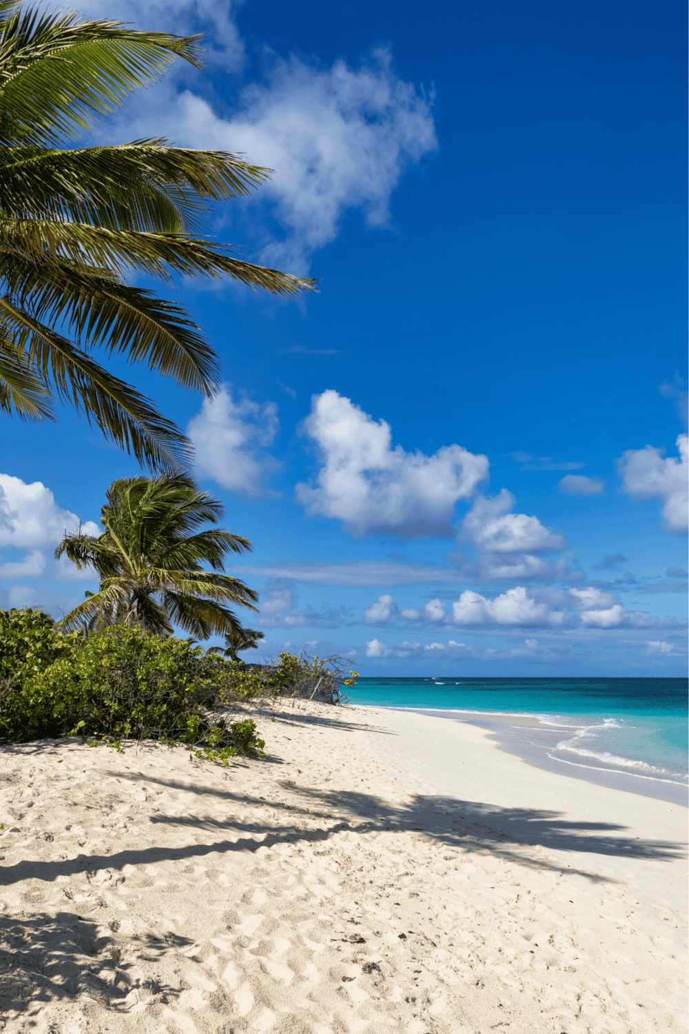 Relaxing tropical beach with palm trees, white sand, and crystal-clear blue water.
