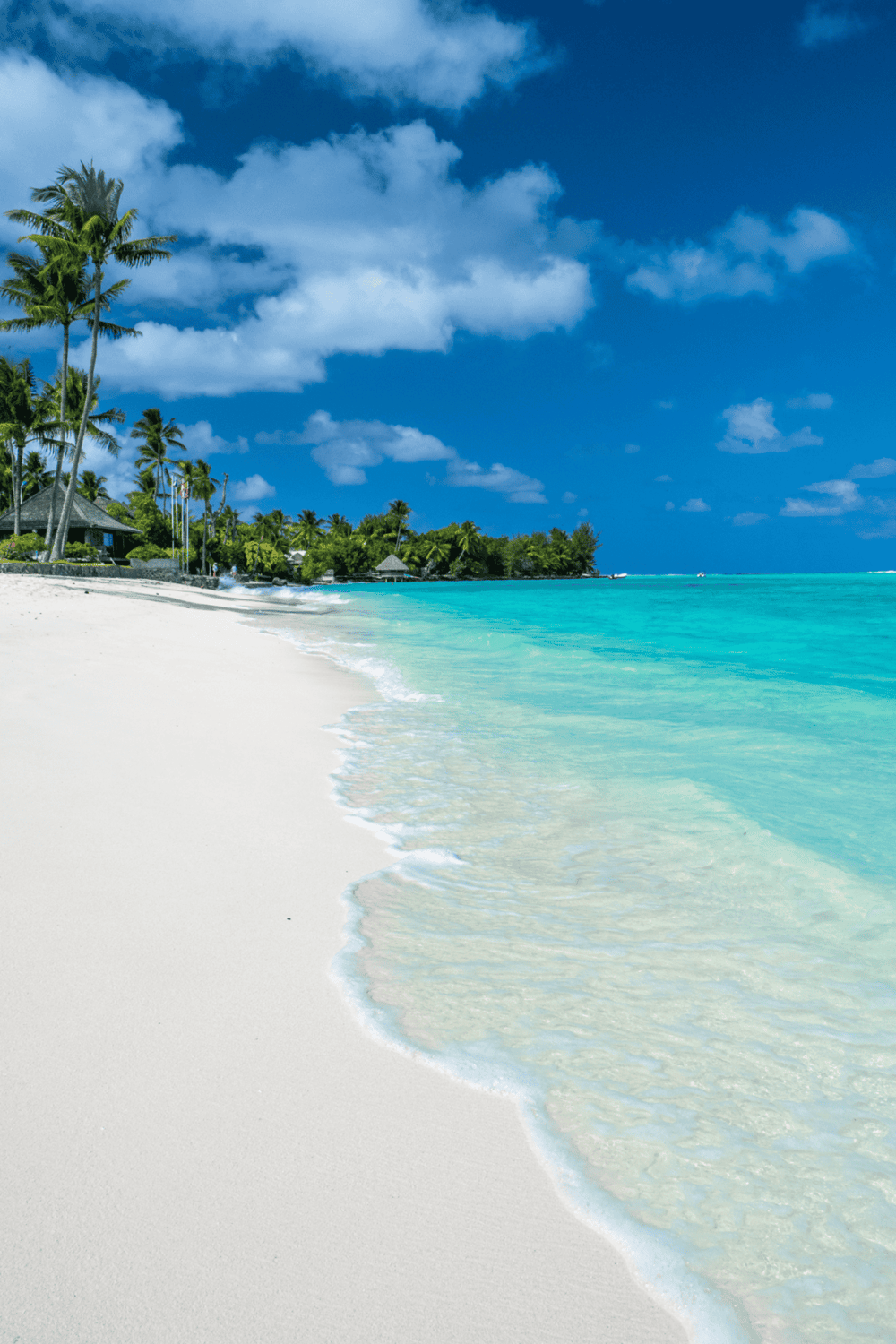 Serene tropical beach scene with white sand, clear turquoise water, palm trees, and blue sky.