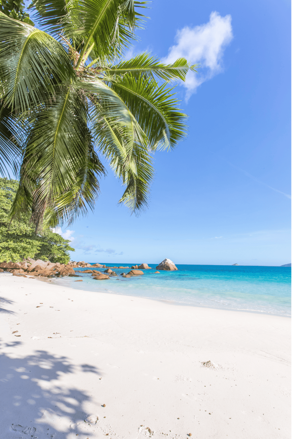 Tropical beach with palm trees, white sand, and clear blue water, perfect for vacation and relaxation.
