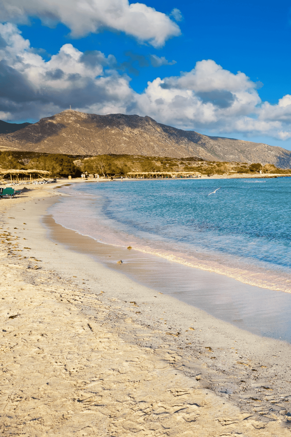 Sunny beach with mountains in the background, clear blue sky, and calm ocean waves - perfect for travel planning.