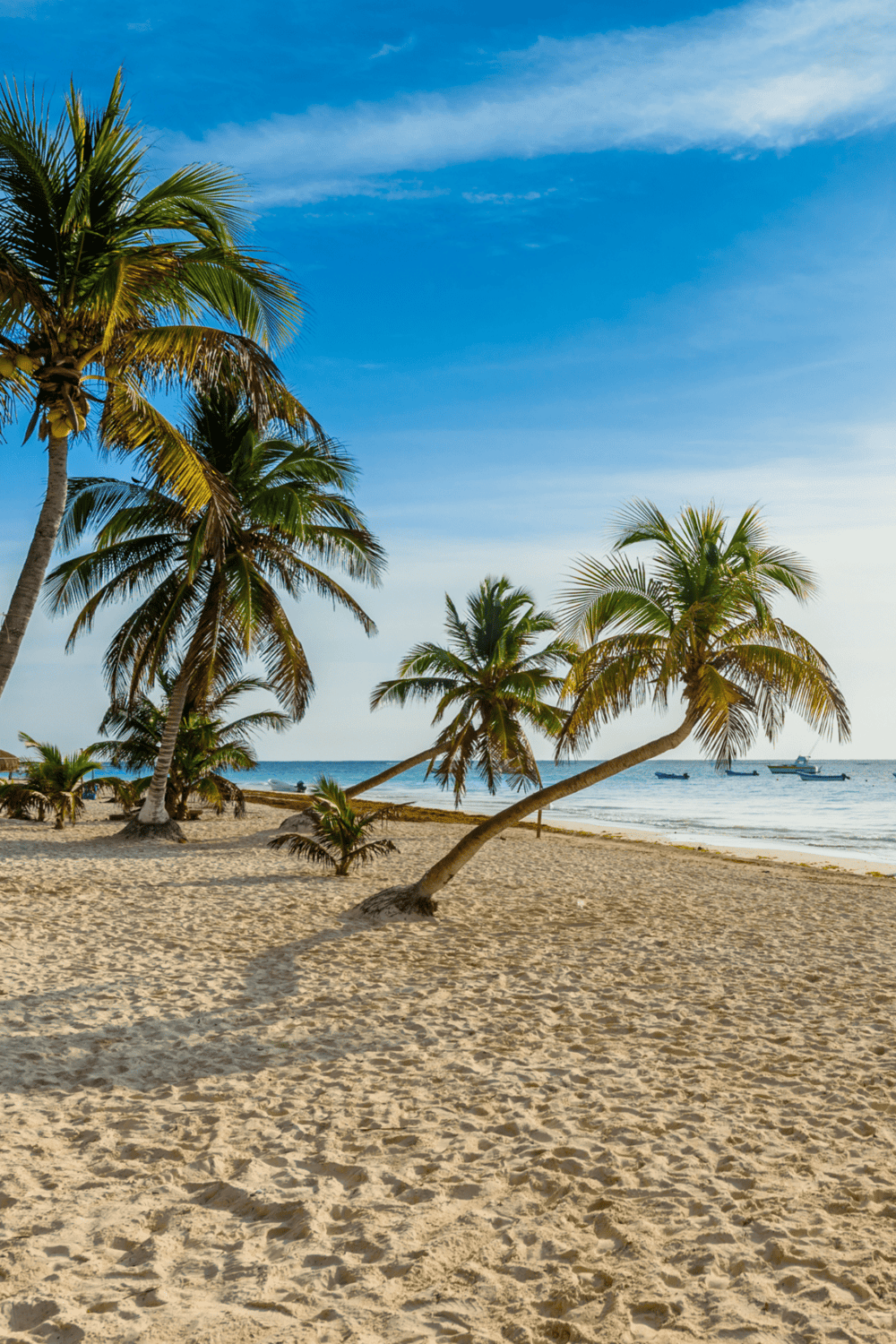 Tropical beach with palm trees, sandy shore, and boats on the water under a blue sky.