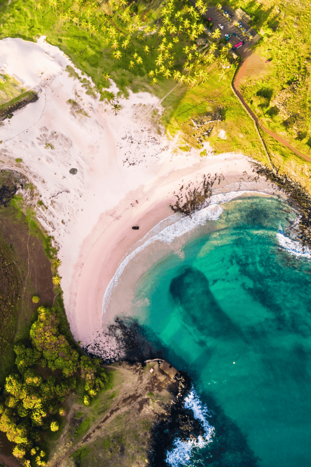 Breathtaking aerial view of a tropical beach with turquoise waters, palm trees, and lush greenery, perfect for travel and adventure inspiration.