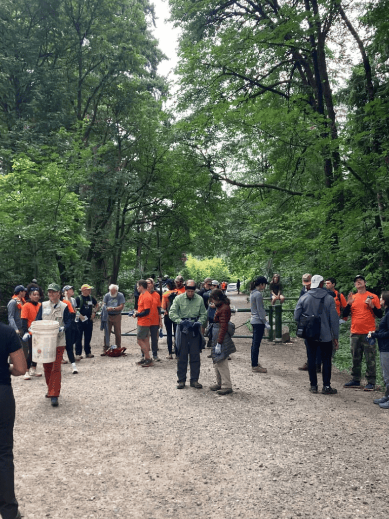 People participating in a guided outdoor group event in a green, wooded park.