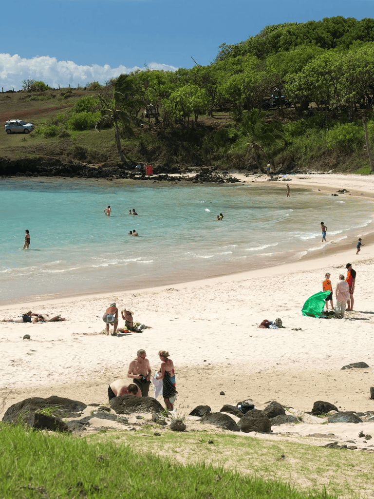 Beach with palm trees and visitors enjoying the seaside in a tropical setting.
