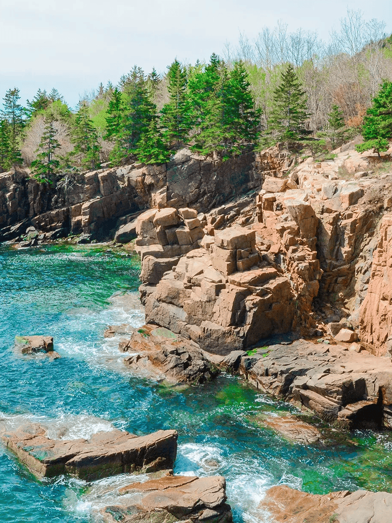 Vibrant rocky coastline with lush green trees and turquoise water in a scenic outdoor landscape.