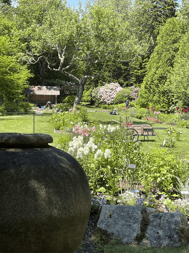 Colorful garden with blooming flowers and lush greenery at QuestForDirections.