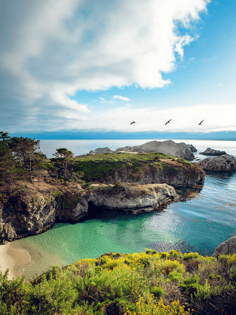 Secluded coastal cove with turquoise water and rocky cliffs, lush greenery, and seagulls overhead.