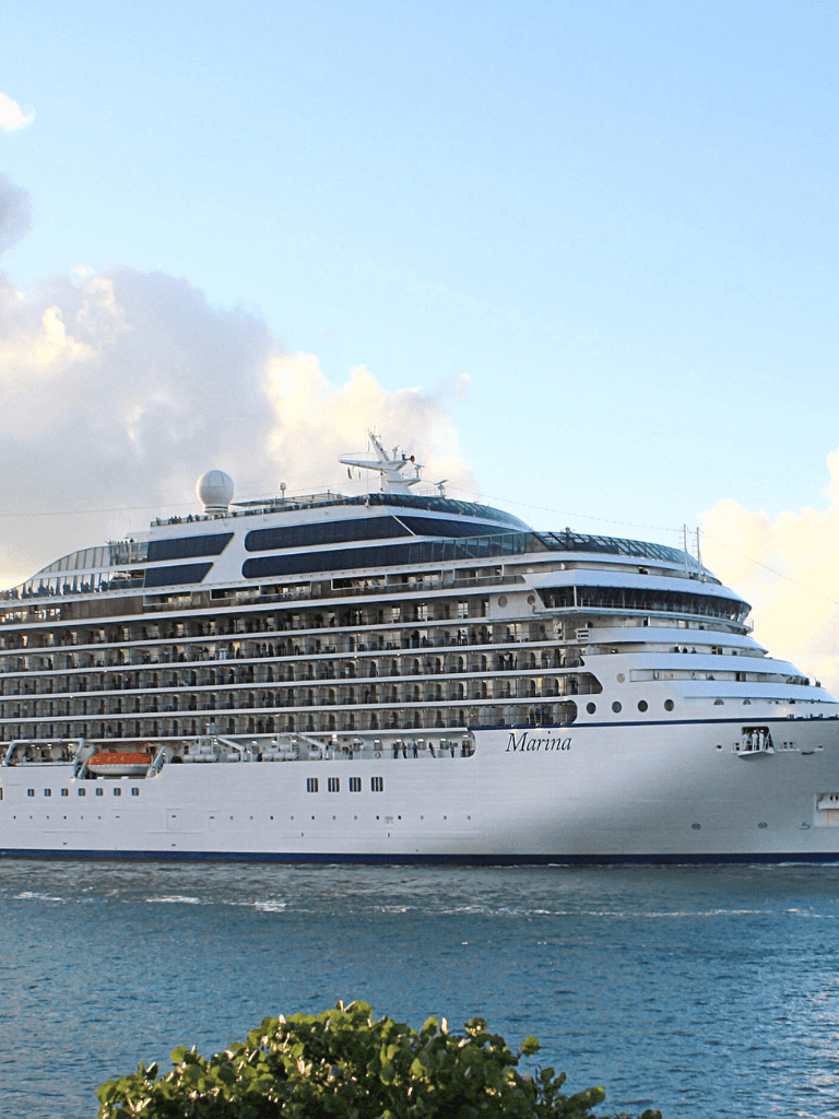 Luxury cruise ship sailing near shore with a clear sky and greenery in the foreground.