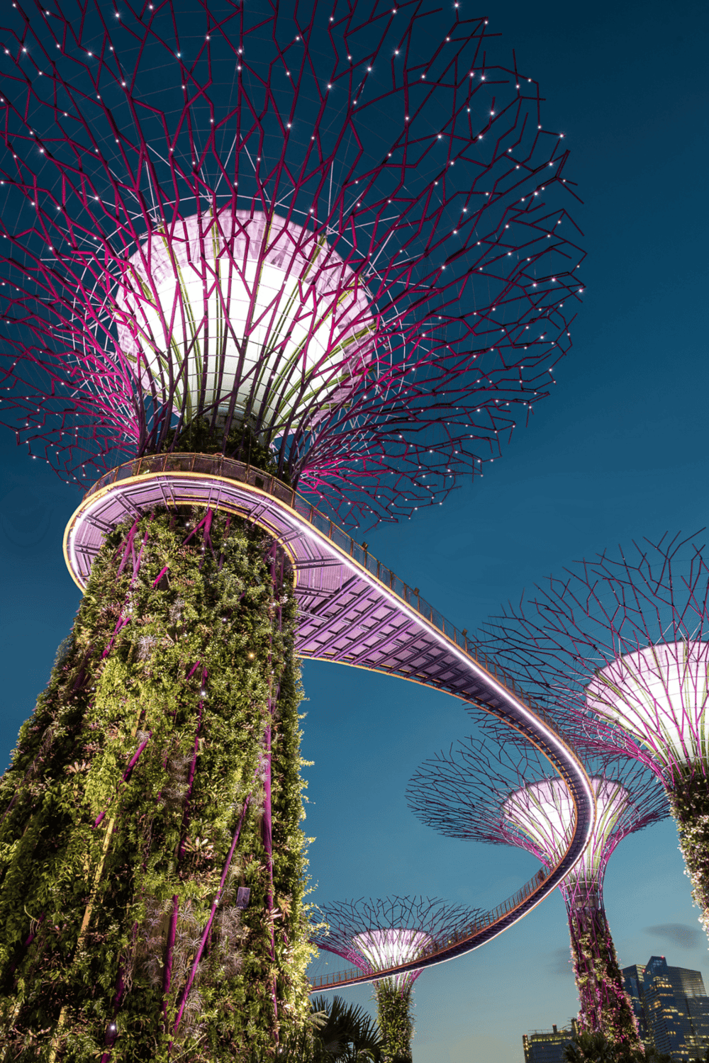 Vibrant Singapore Gardens by the Bay at night, featuring illuminated Supertree structures.