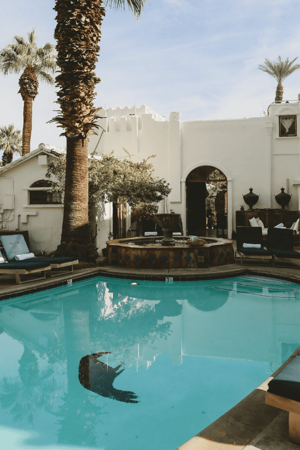 Luxurious poolside at QuestForDirections with palm trees and white Mediterranean architecture.
