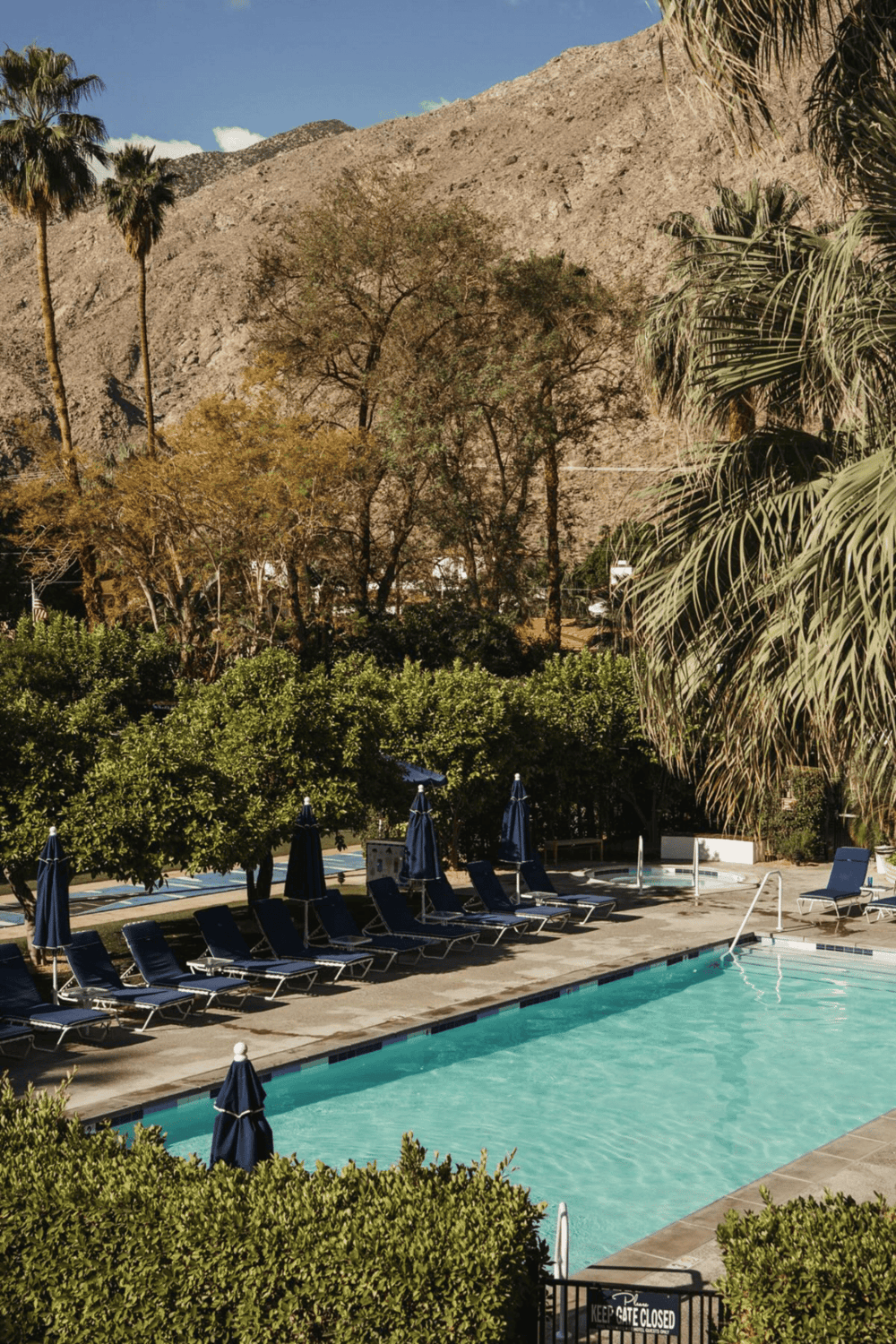 Relaxing hotel pool with mountain views and lush greenery, perfect for rest and rejuvenation.