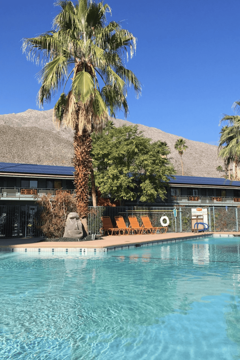 Relaxing hotel pool with palm trees and mountain view in desert oasis.