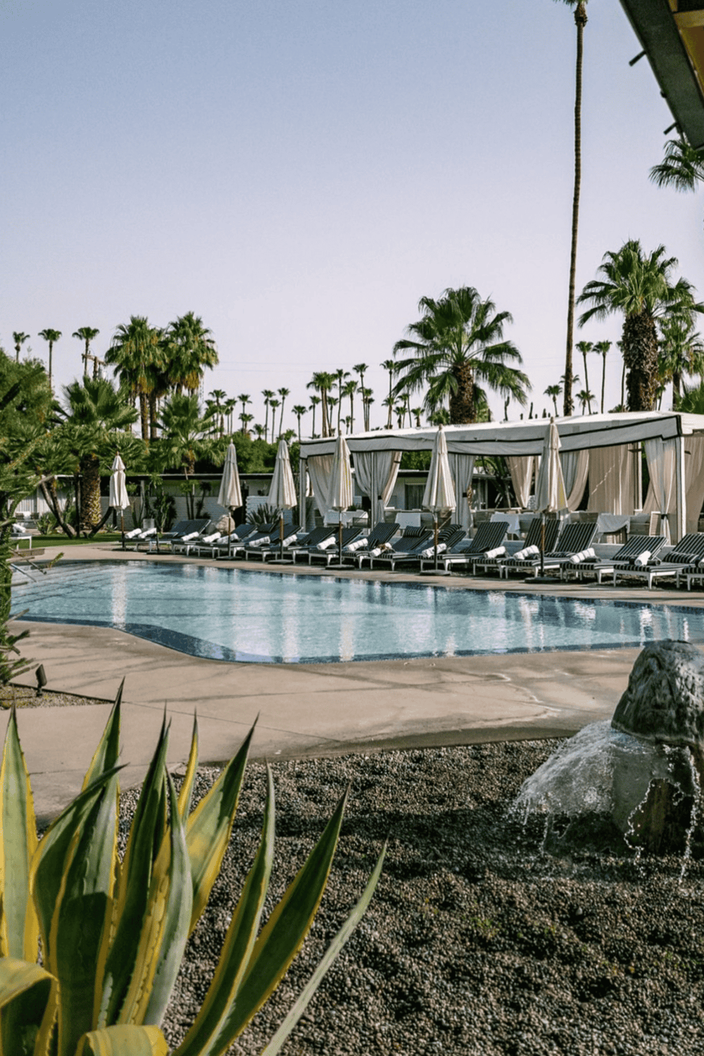 1. Poolside lounging area with palm trees at QuestForDirections hotel.