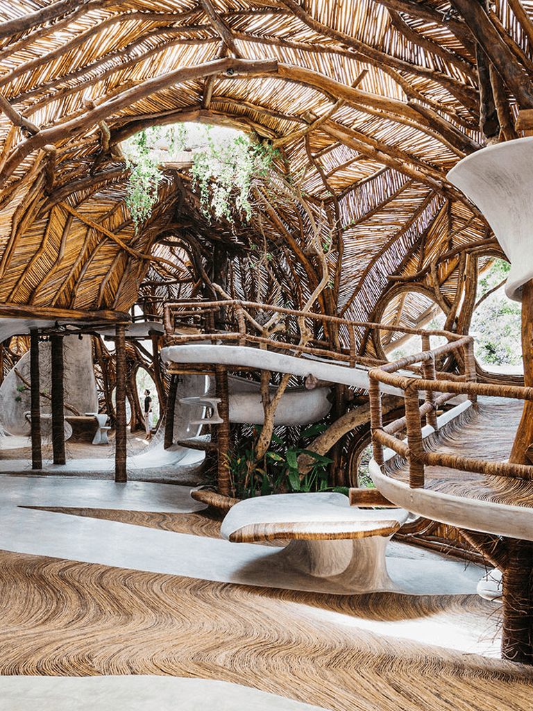 Handcrafted treehouse interior with natural wood and lush greenery, perfect for eco-friendly travel and family adventure.