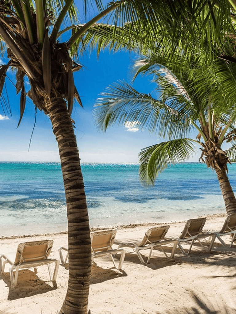 Tropical beach with palm trees, lounge chairs, and turquoise ocean scenery for vacation relaxing.