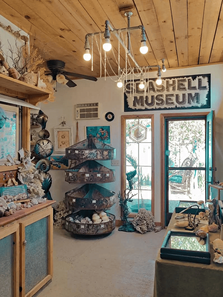 Colorful shell and ocean-themed souvenirs at the Shell Museum, showcasing marine treasures and coastal collectibles.
