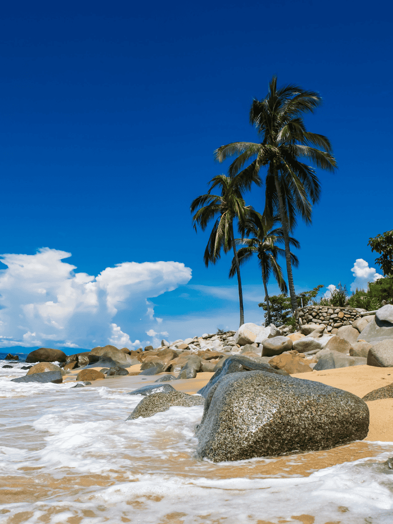 Beach with palm trees and large rocks under a clear blue sky.