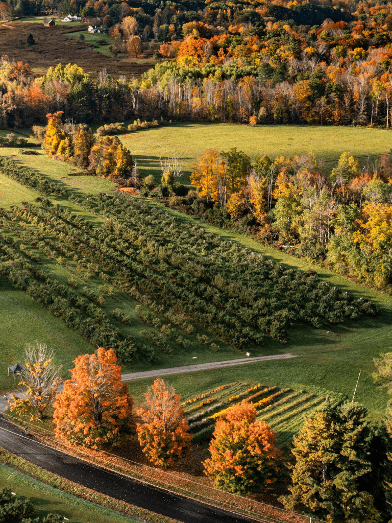 Lush autumn landscape with vineyards, colorful trees, and rolling hills in Vermont.