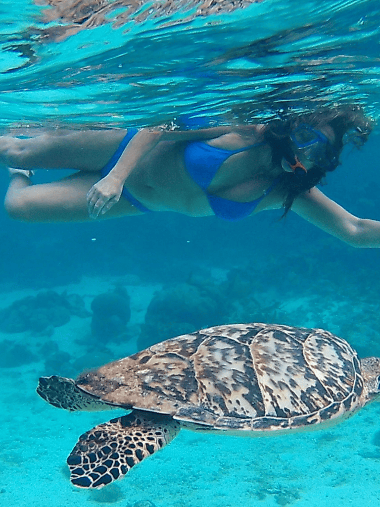 Colorful woman snorkeling with sea turtle in clear blue ocean for eco-friendly marine exploration and underwater adventure.