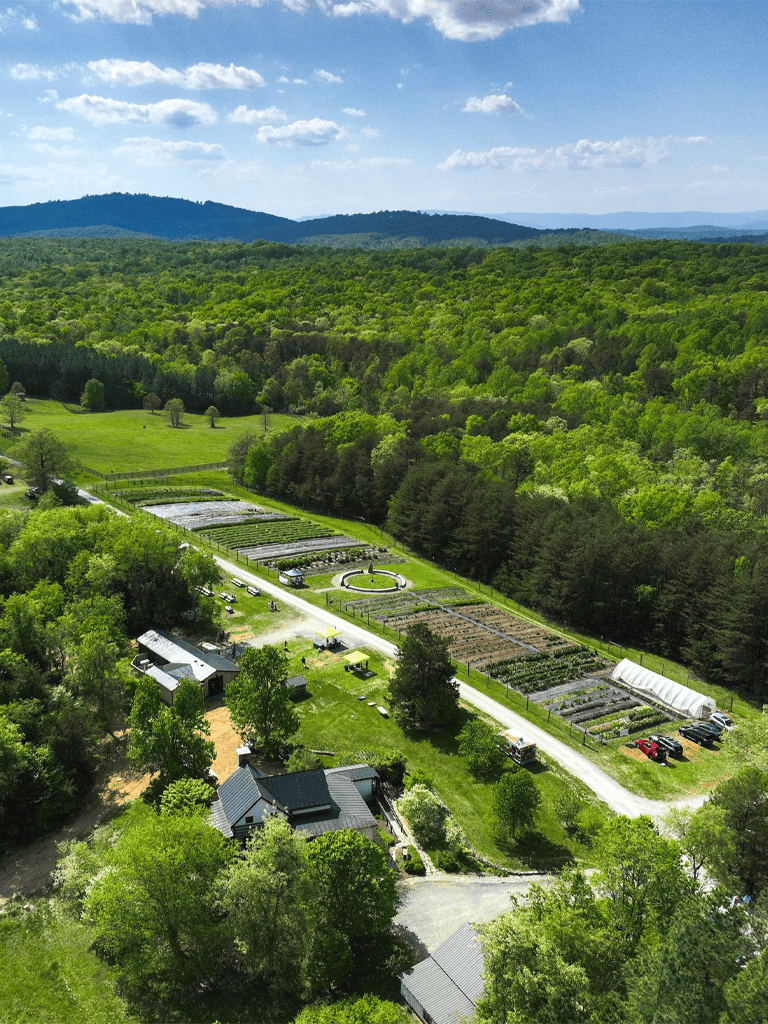 Lush green farm landscape with gardens, greenhouses, and surrounding forests in a scenic rural setting.