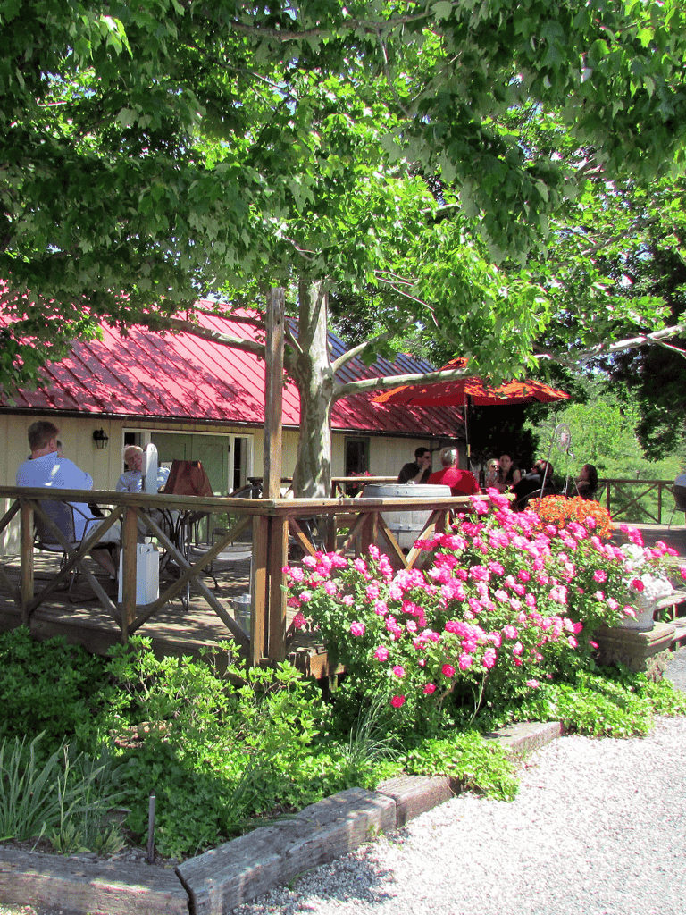 Vibrant outdoor patio with lush greenery and blooming pink flowers under sunlight.