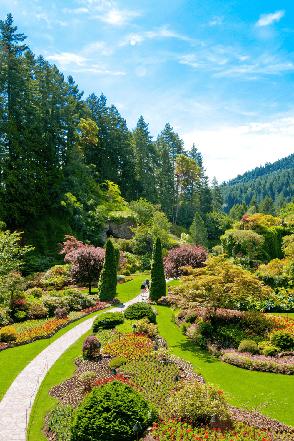 Vibrant botanical garden with colorful flowers, lush greenery, and scenic mountain backdrop.