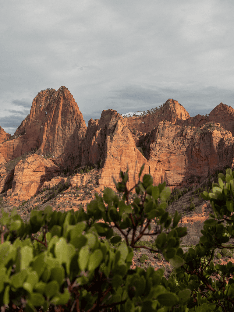 Majestic red rock mountains in Zion National Park with green desert plants in foreground.