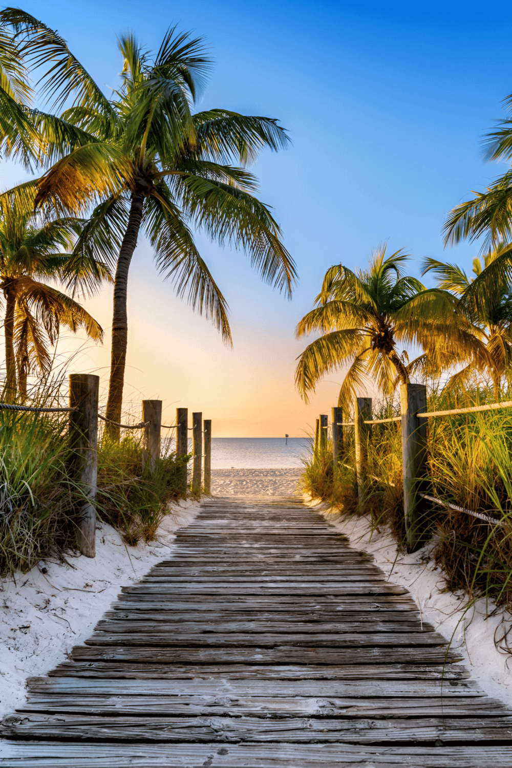 Tropical beach pathway with palm trees at sunset, perfect for travel guidance and vacation planning.