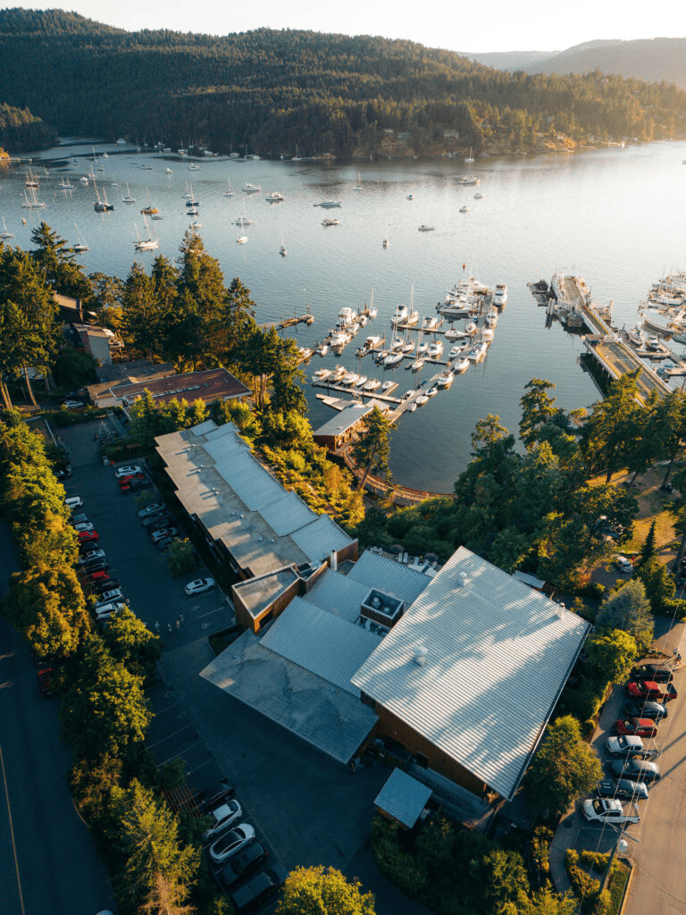 Boats docked at lakeside marina with surrounding trees and scenic water views.