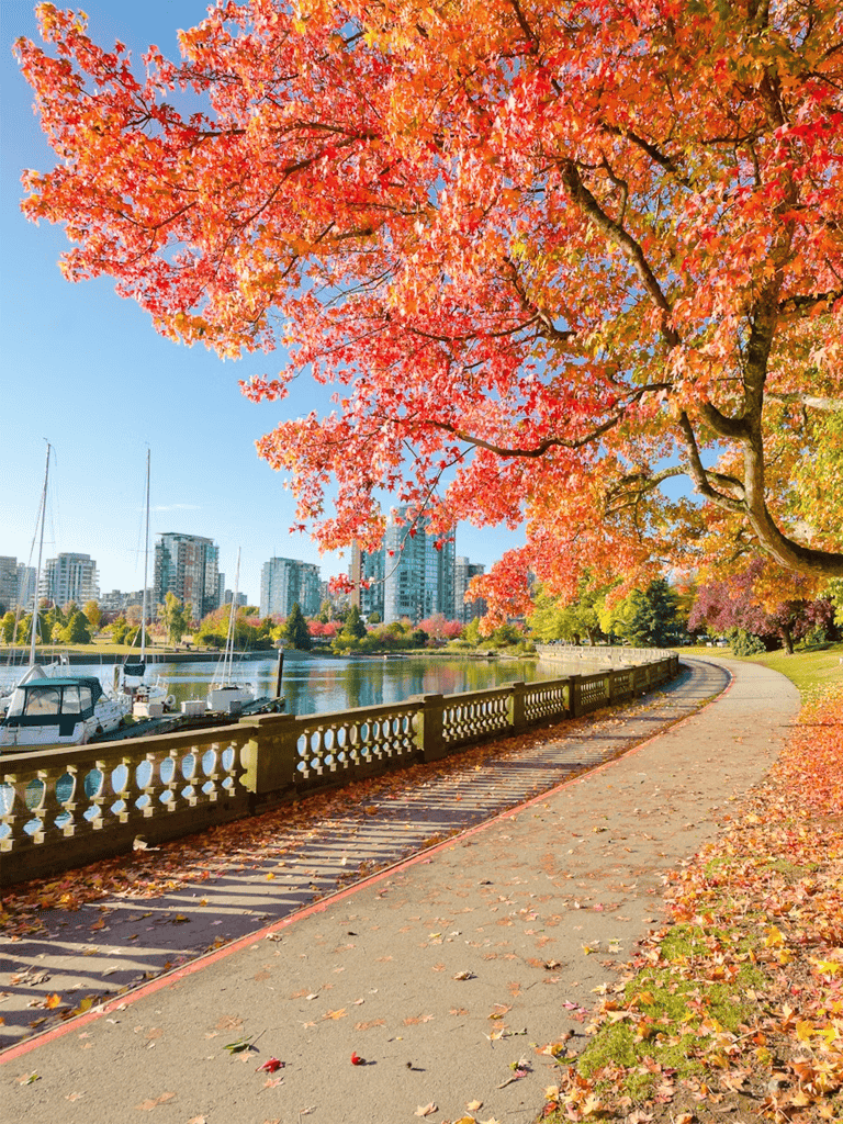 Colorful autumn trees along waterfront park in city, fall scenery, vibrant leaves and skyline.