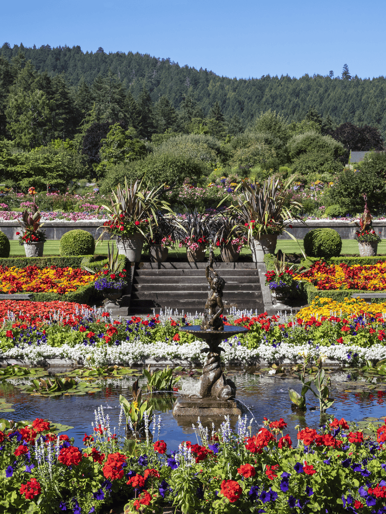 Colorful flower garden with water fountain and lush greenery, perfect for outdoor adventures and relaxation.