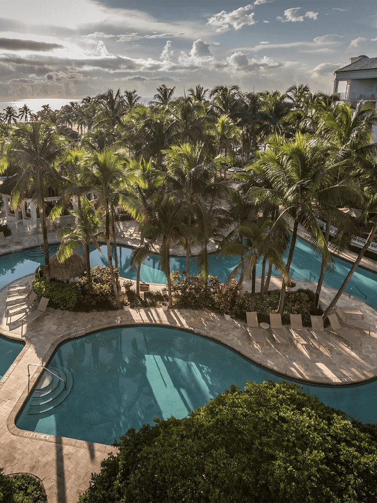 Relaxing tropical resort pool with palm trees and ocean view.