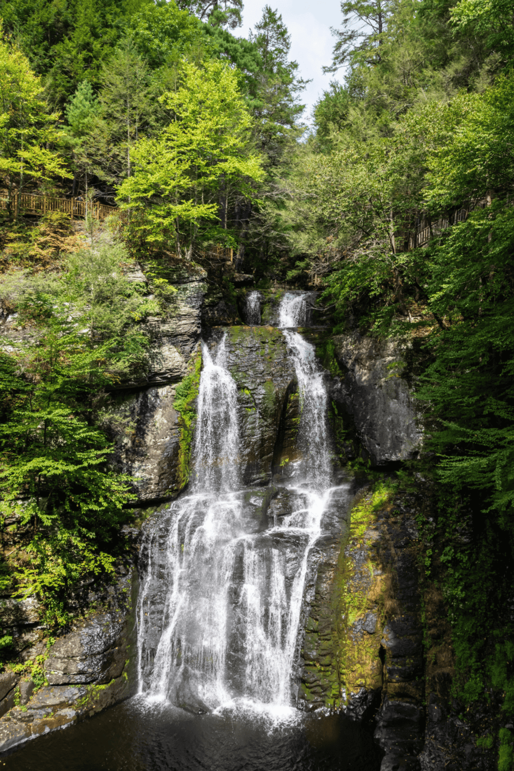 Serene waterfall surrounded by lush green forest in North Carolina's scenic mountains.