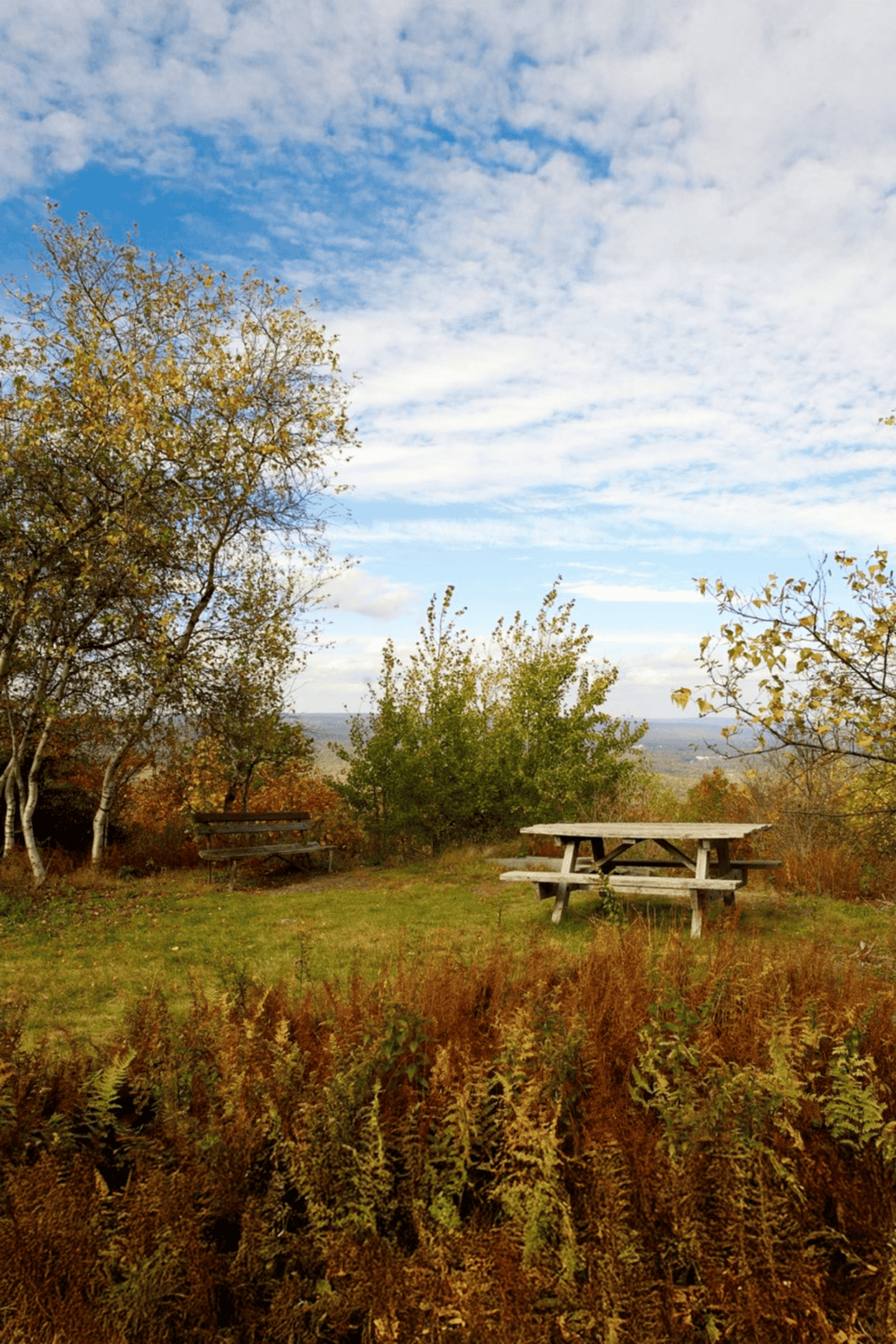 Versatile outdoor seating with picnic tables and benches in scenic park setting, ideal for nature walks and relaxation.