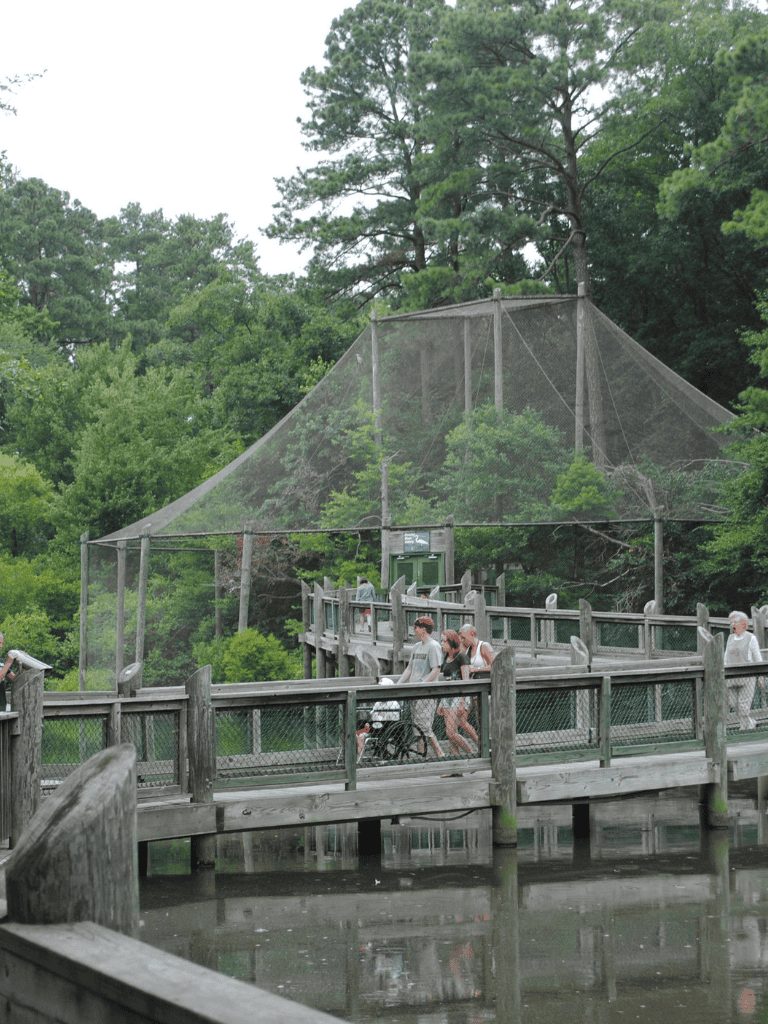 Bird watching tower with fishing dock and visitors enjoying outdoor activity at QuestForDirections.