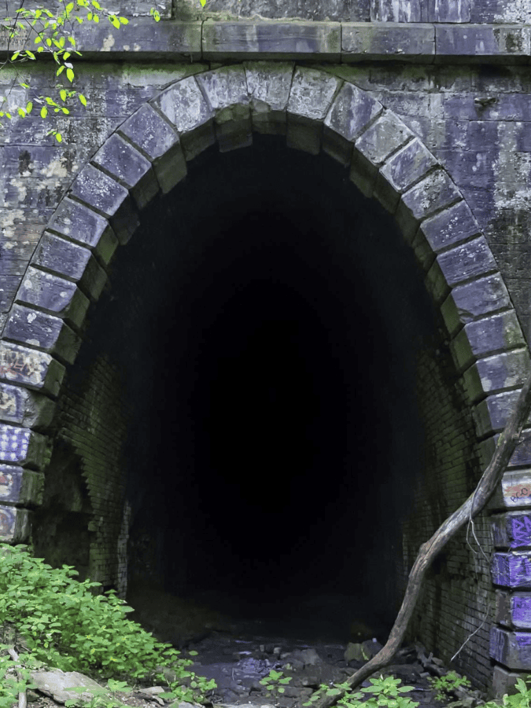 Dark tunnel entrance under stone bridge, historic site, mysterious urban exploration spot.