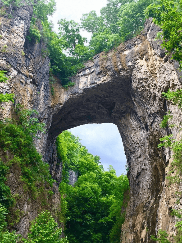 Stunning natural rock arch surrounded by lush green trees in a canyon.
